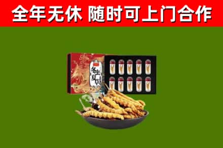 阜阳市回收冬虫夏草价格