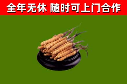 阜阳市烟酒回收冬虫夏草.jpg